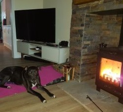 Cass by fireplace feb 2017