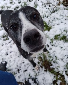 Roger enjoying todays snow