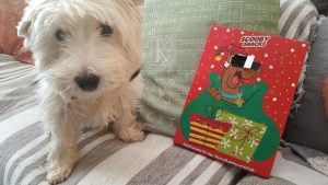 Barney + his advent calendar