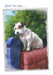 Cheadle notelets dog photo 2